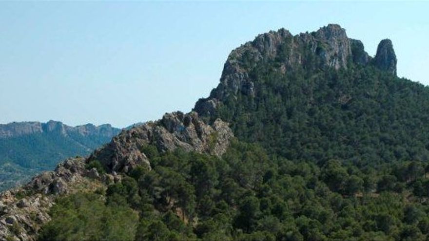 Senderismo desde la capital. Desde la peanía murciana de La Alberca salen varias rutas para subir a la Cresta del Gallo, continuación natural de la Sierra de Carrascoy, así como a diferentes zonas de todo el parque regional El Valle y Carrascoy.