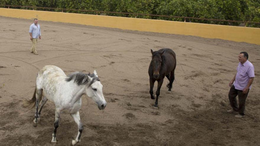 Los propietarios de caballos avisan de que &quot;nadie tiene ahora más de dos hanegadas&quot;