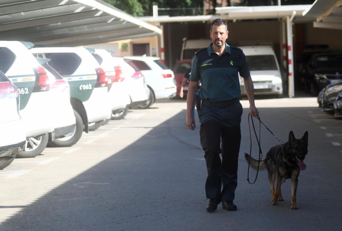 Los inteligentes canes, junto a unos de sus guías humanos, reciben a LA OPINIÓN en la Comandancia.