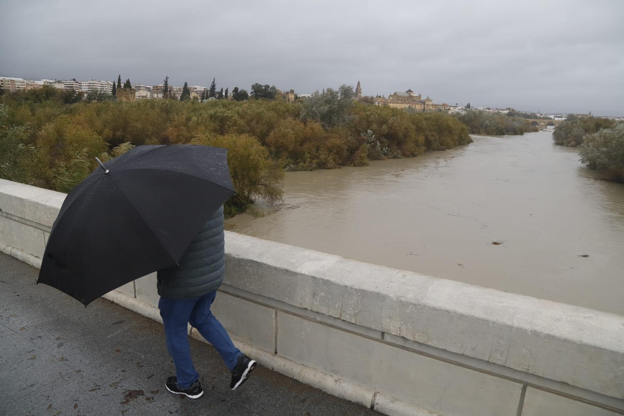Numerosas incidencias por el temporal de viento y lluvia en Córdoba