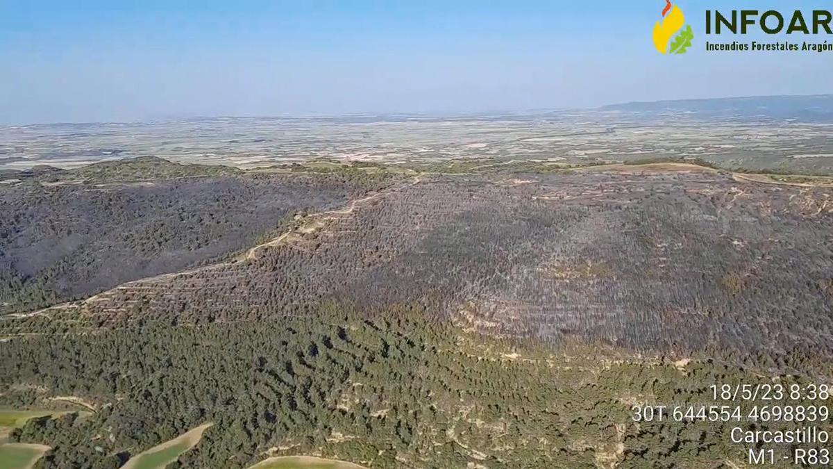 Así ha quedado la zona forestal entre Sos y Castiliscar tras el incendio originado este miércoles