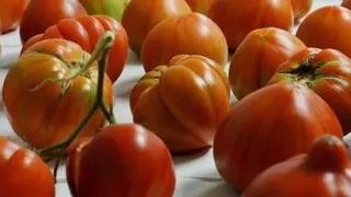 Los beneficios para tu salud de comer tomate todos los días