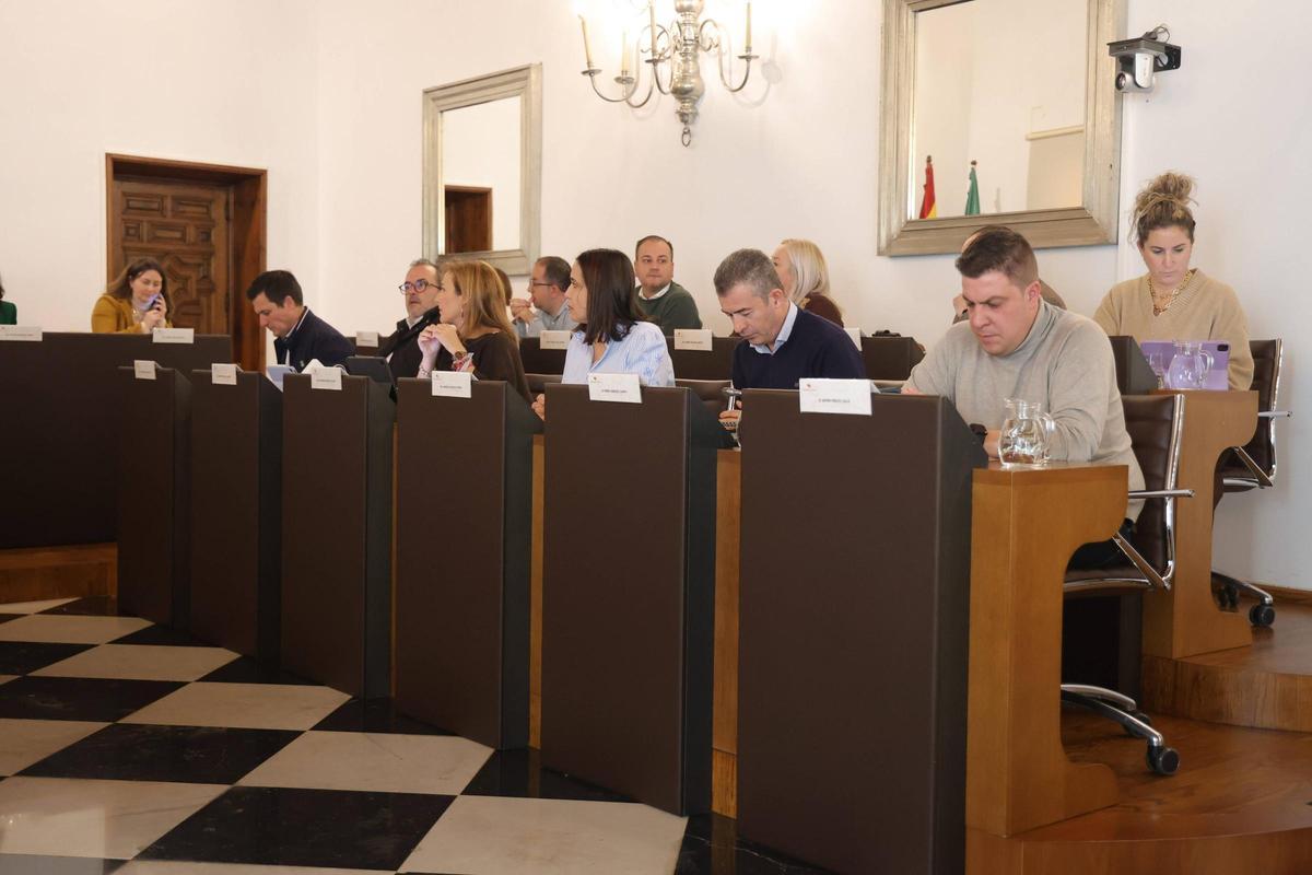 FOTOGALERÍA | El último pleno del año de la Diputación de Cáceres, en imágenes