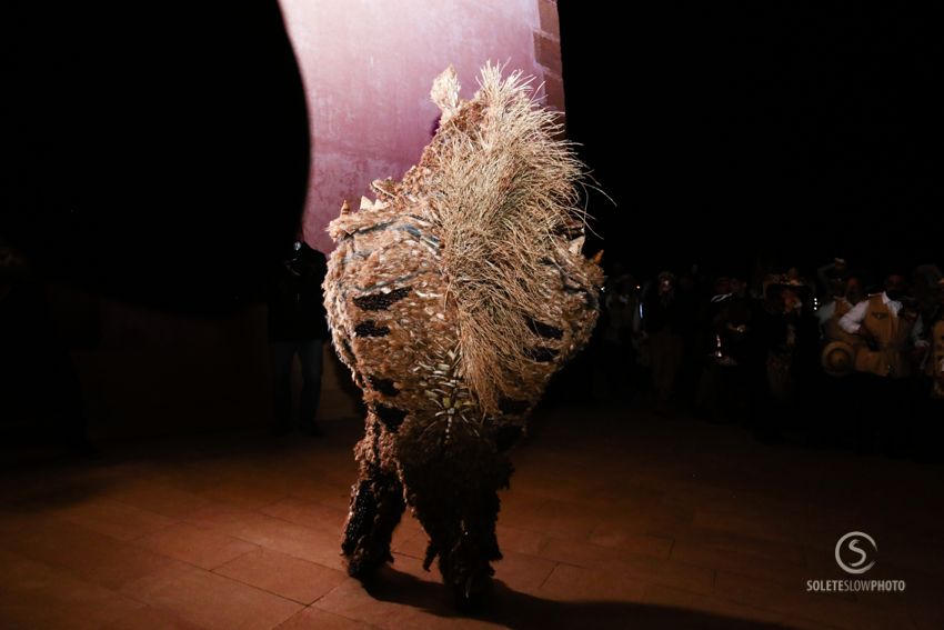 Suelta de la Mussona en el Carnaval de Águilas