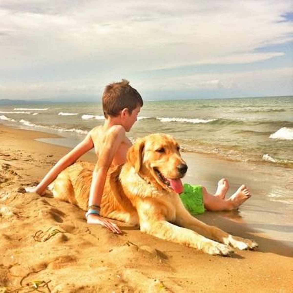 Amistat entre espècies a la Platja de la Marquesa, Deltebre.