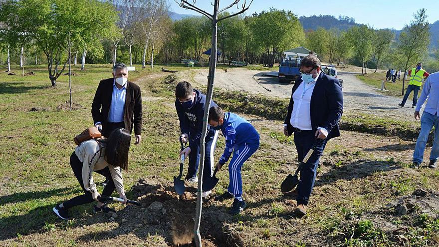 Martín, con los escolares durante la plantación de los árboles.   | // FDV 