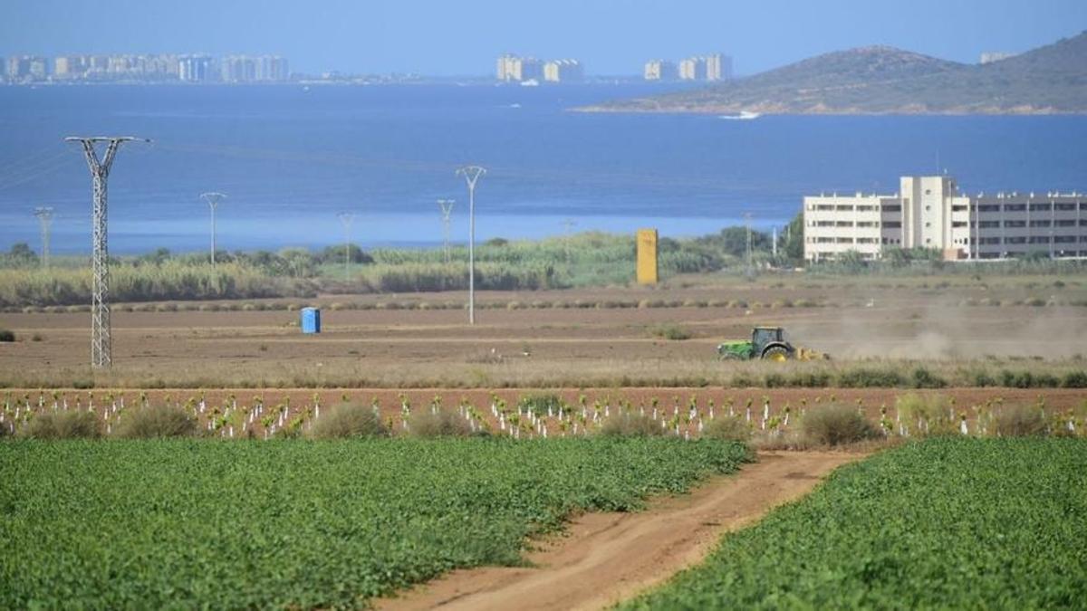 Una de las explotaciones agrícolas en el entorno del Mar Menor.