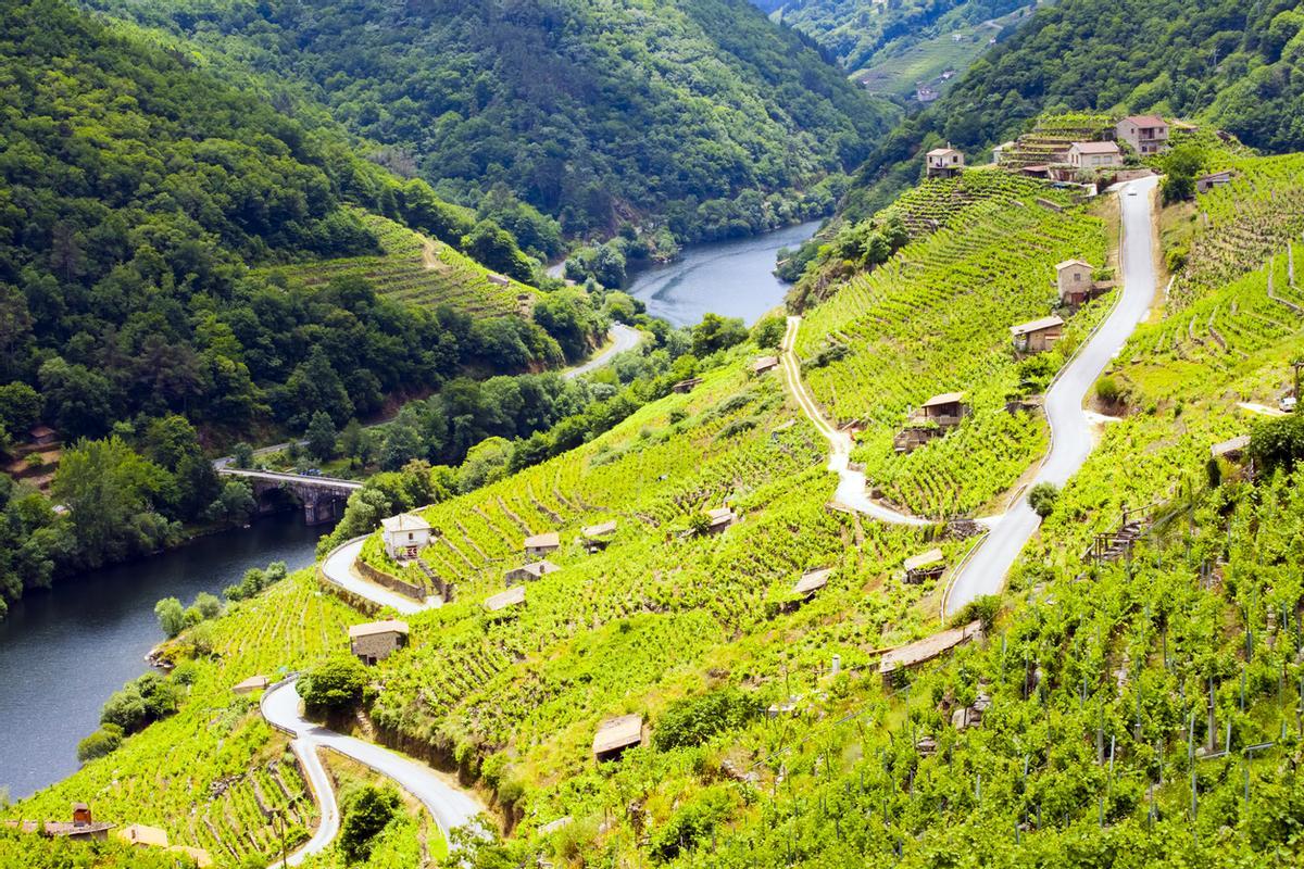 Un paisaje imposible de laderas verticales y viñedos en terrazas.