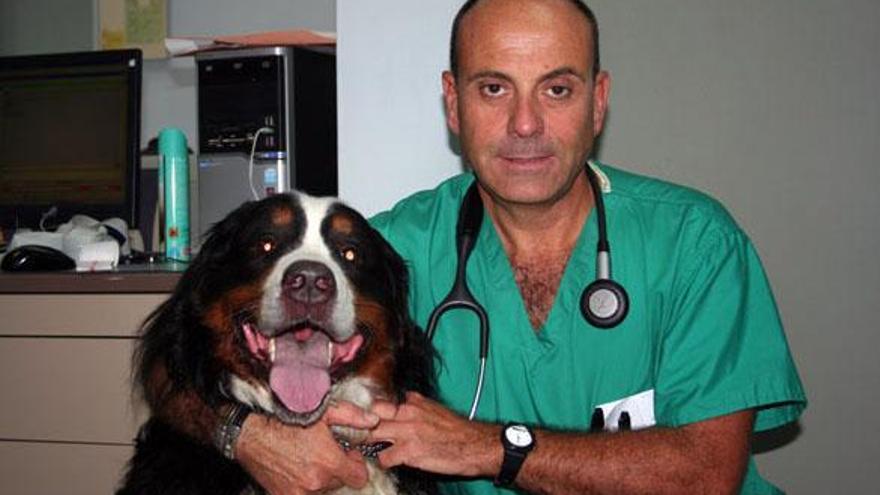 José Alberto Montoya durante una revisión a un perro. | lp/dlp