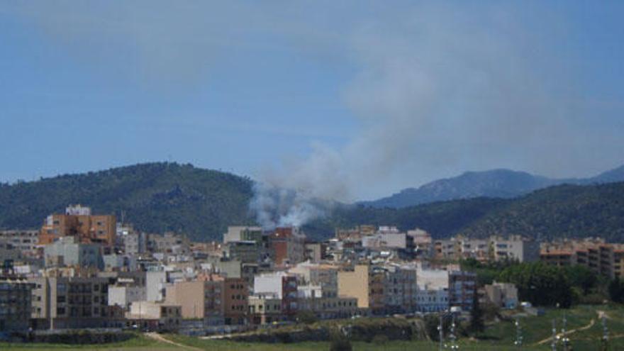 Dan por controlado el incendio forestal de La Vileta