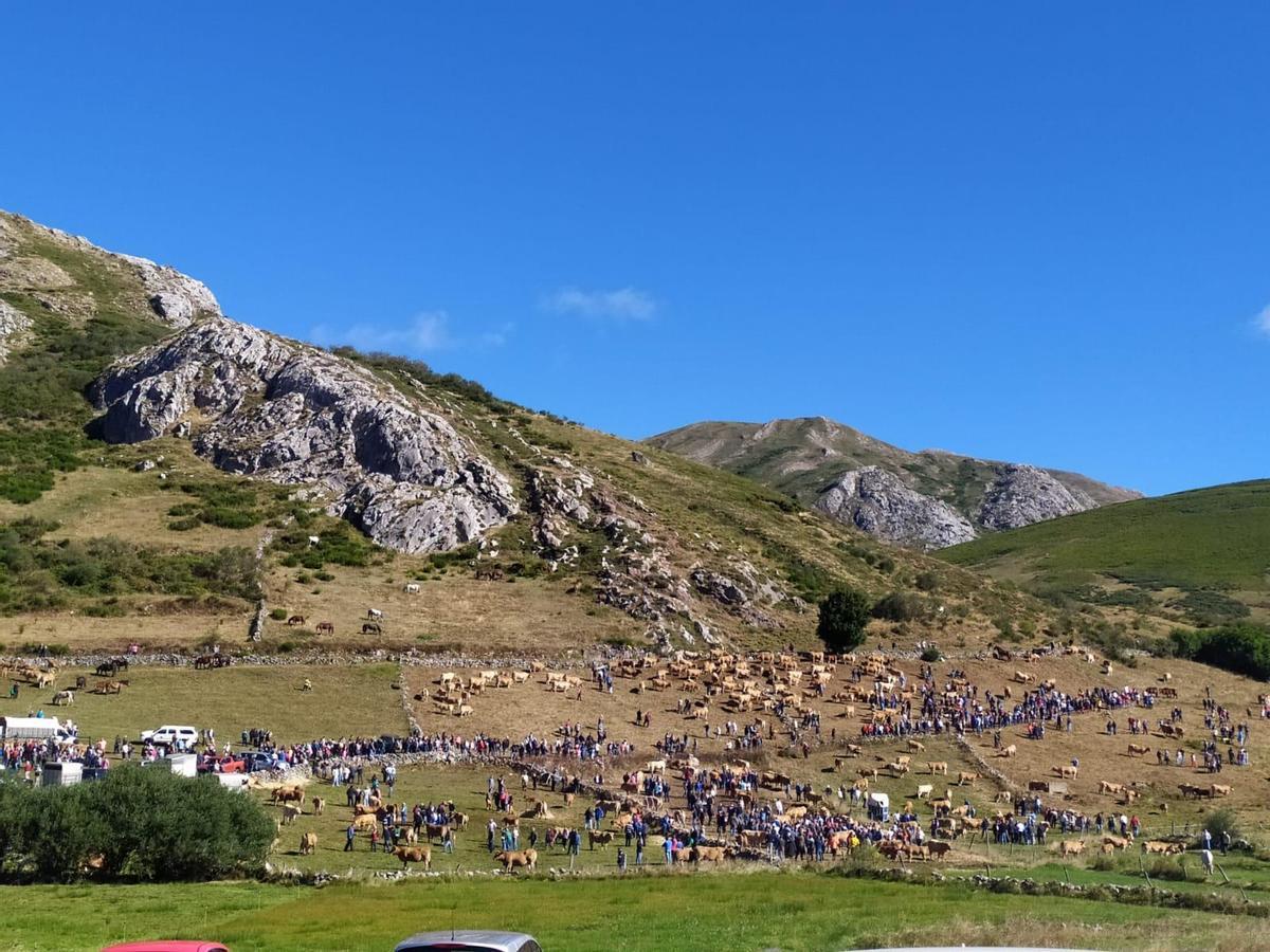 Feria en el Puerto de Somiedo.