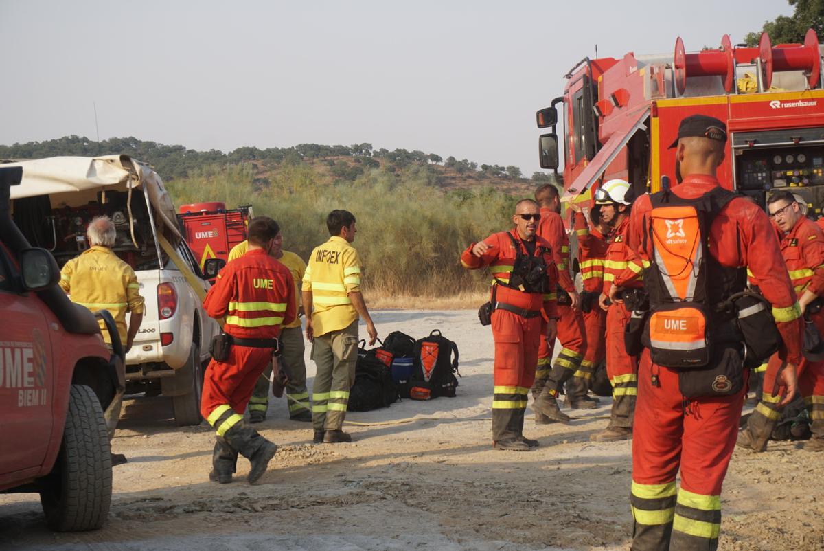 Espanya crema pels incendis forestals