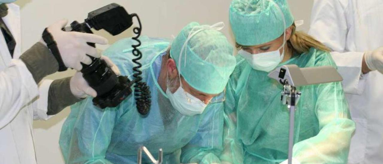 Personal de Keramat, operando a un conejo e implantando sus biomateriales. // Keramat