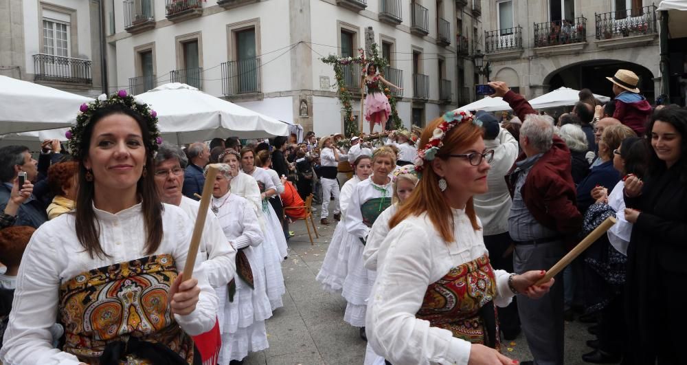 La Festa dos Maios llena de color el Casco Vello y "espanta" el invierno con flores y música