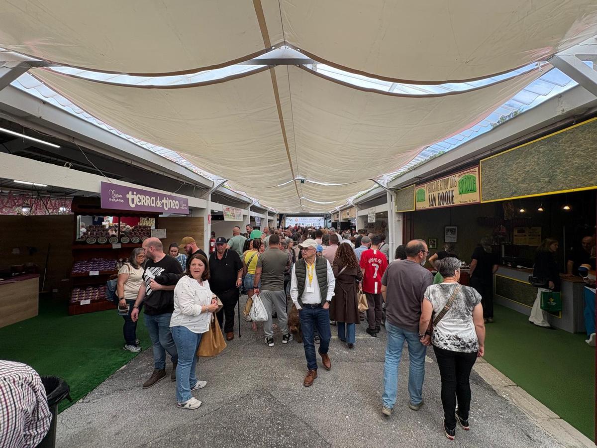 Lleno en el primer día de la Feria de Muestras de Tineo Lleno en el primer día de la Feria de Muestras de Tineo