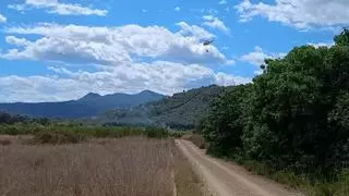 Controlado el incendio declarado entre los términos de Alzira y Simat