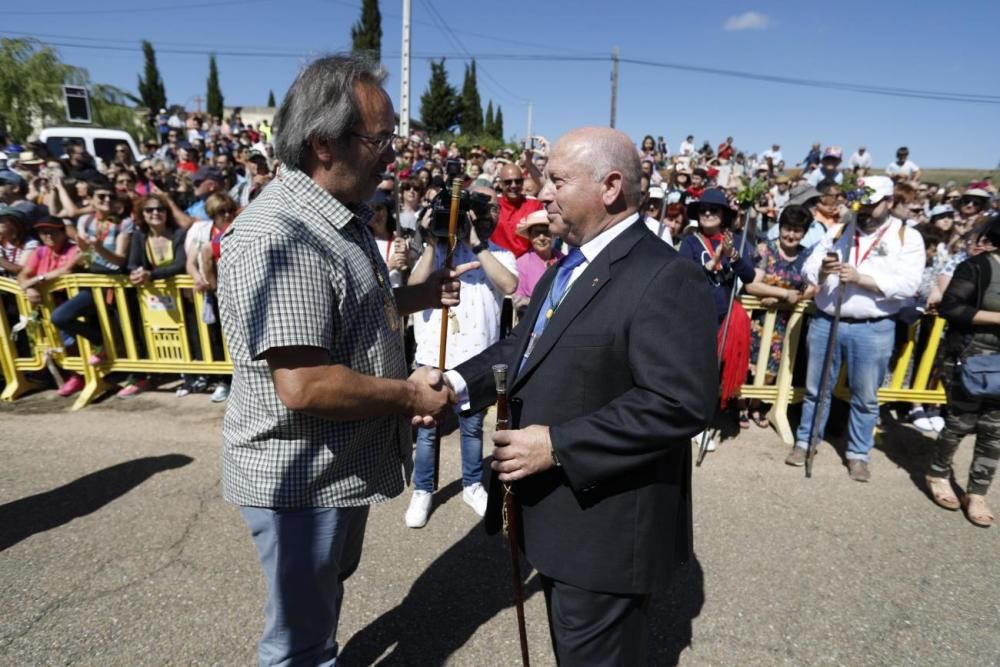 Romería de La Hiniesta