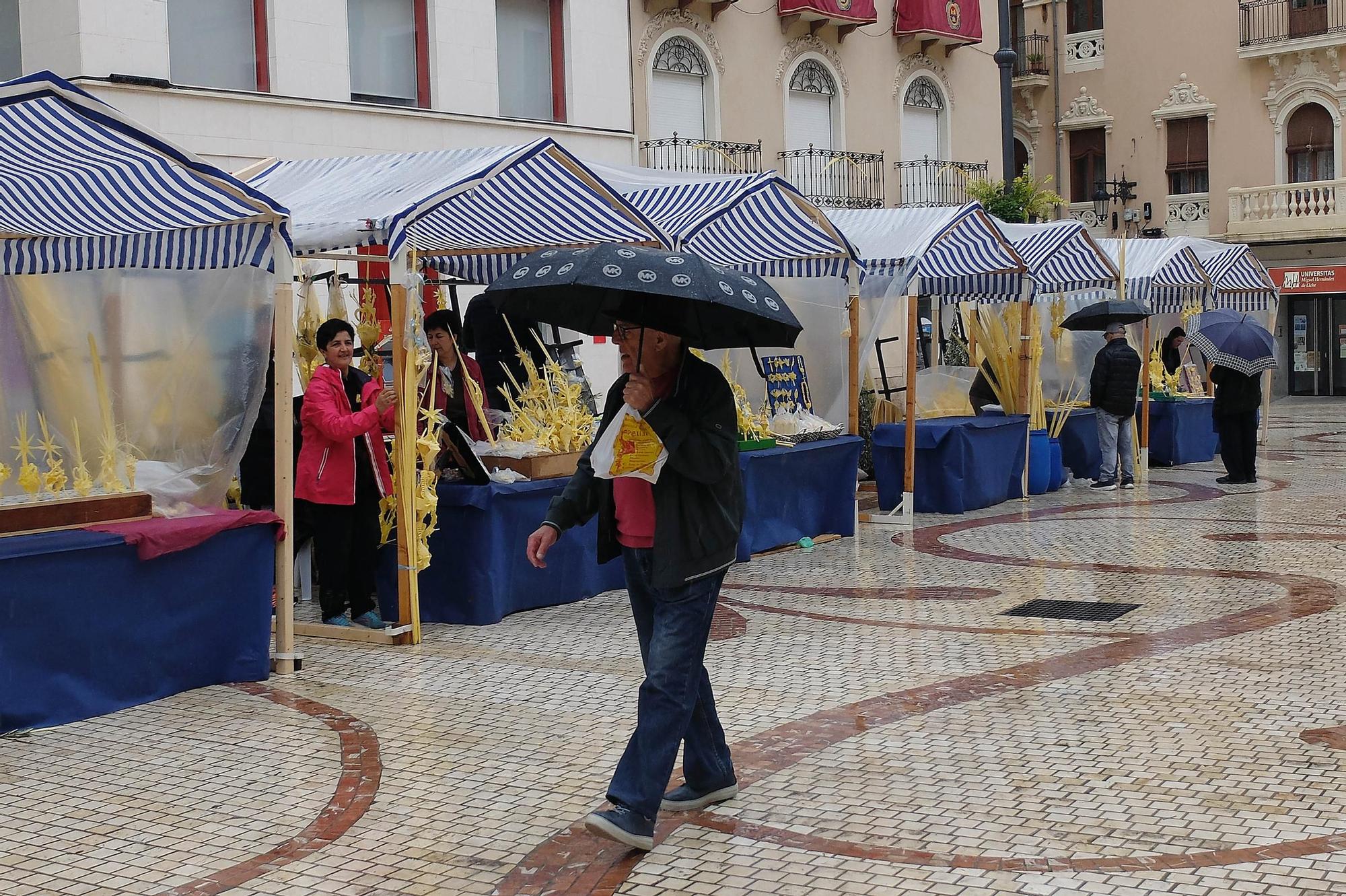 Venta de palma blanca pasada por agua en Elche