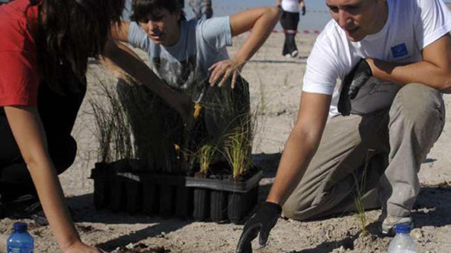 Varios voluntarios durante la jornada de revegetación.