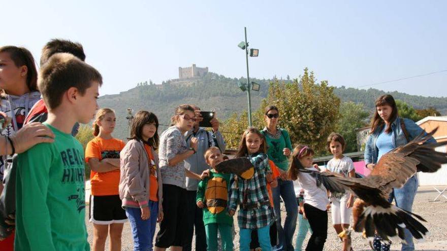 Medio centenar de personas participan en el taller de aves