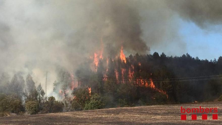 Incendi a Avinyó