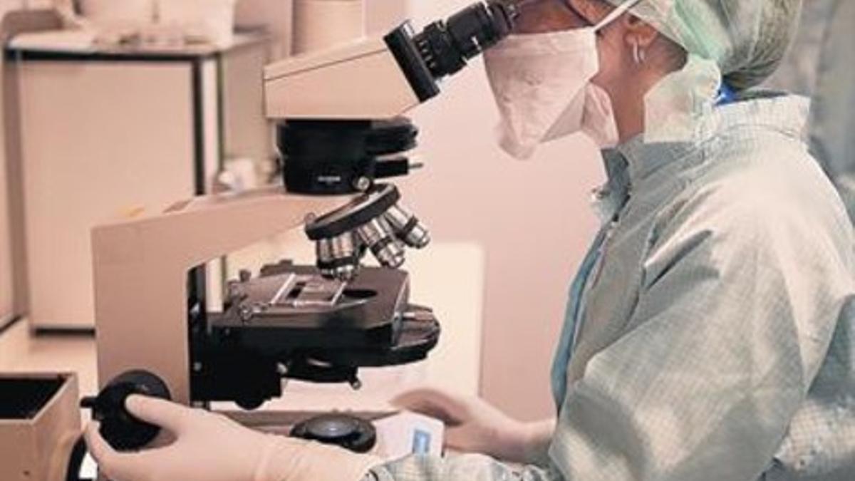 Una investigadora, en el laboratorio de un hospital de Birmingham.