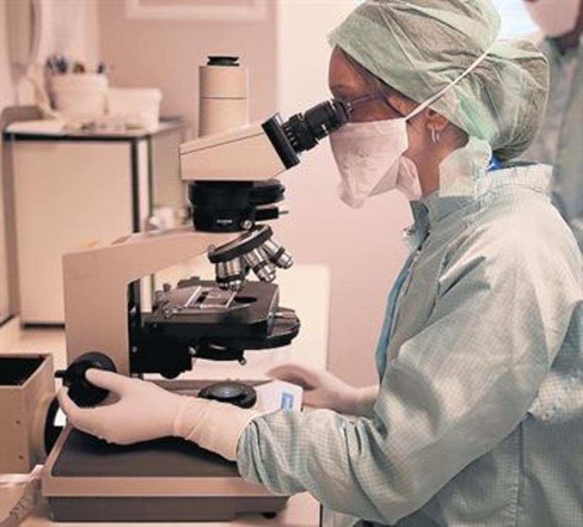 Una investigadora, al laboratori d’un hospital de Birmingham. Una investigadora, al laboratori d’un hospital de Birmingham.