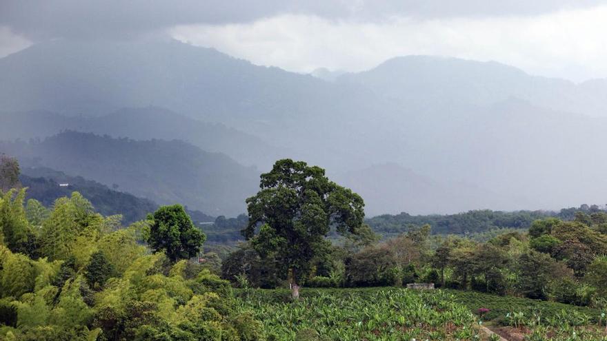 ¿Qué es el Eje Cafetero de Colombia, una de las regiones más afectadas por el terremoto?