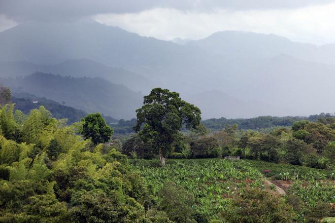 ¿Qué es el Eje Cafetero de Colombia, una de las regiones más afectadas por el terremoto?