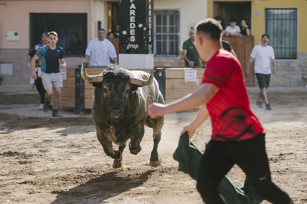 El toro de Saltillo ha desplegado bravura y ha ofrecido un espectáculo que ha sido ovacionado por el público. El toro de Saltillo ha desplegado bravura y ha ofrecido un espectáculo que ha sido ovacionado por el público.