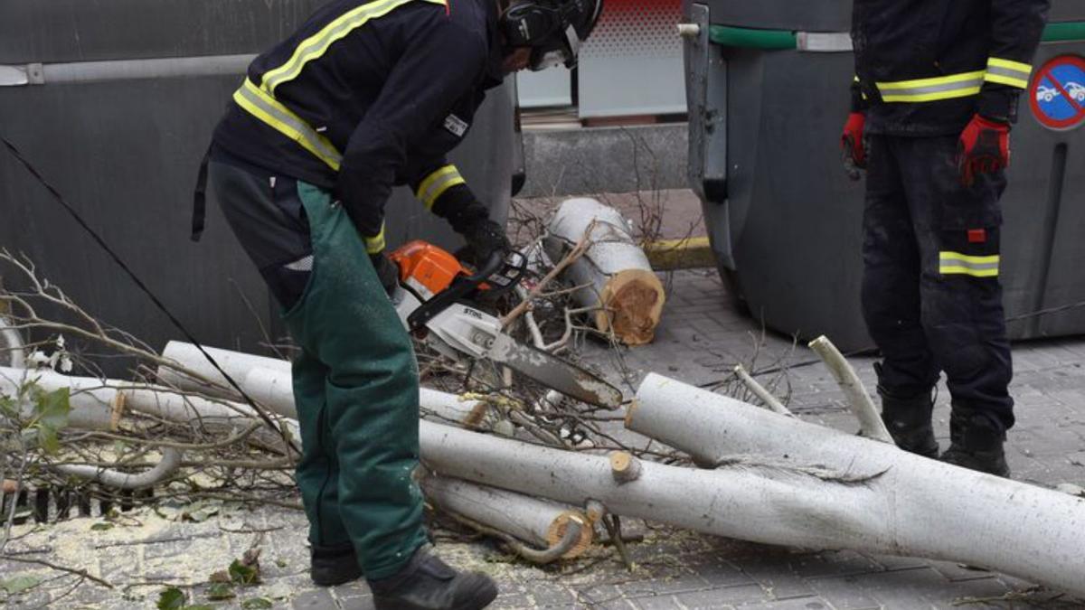 El viento tumba un árbol y tira varias ramas en Vila