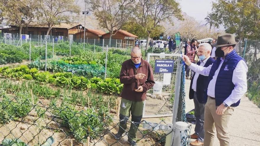 Orihuela proyecta un estanque para abastecer con agua regenerada los huertos urbanos y el Palmetum