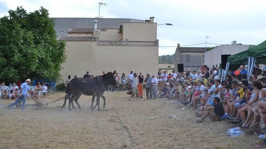 La genuina &#039;Festa Pagesa&#039; luce en Son Macià