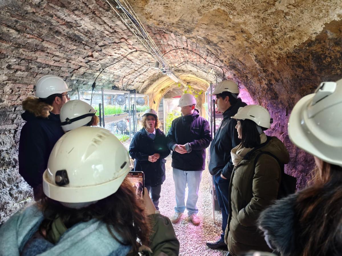 Visita al invernadero situado en la bocamina La Raya del Pozo Carrio, en Laviana