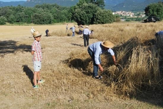 Festa del Segar i el Batre