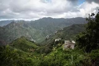 Un viaje a la Anaga profunda: Taborno