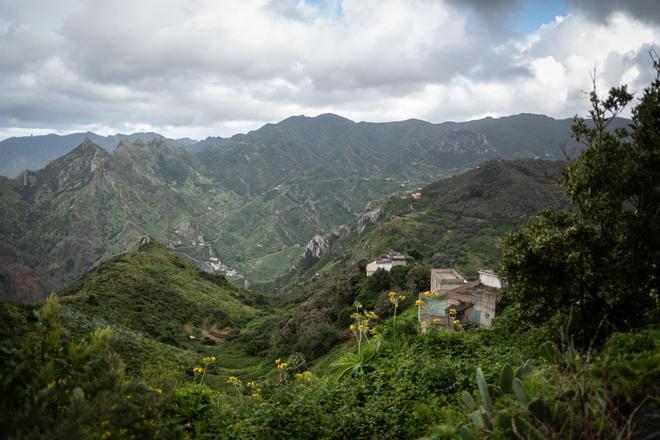 Un viaje a la Anaga profunda: Taborno