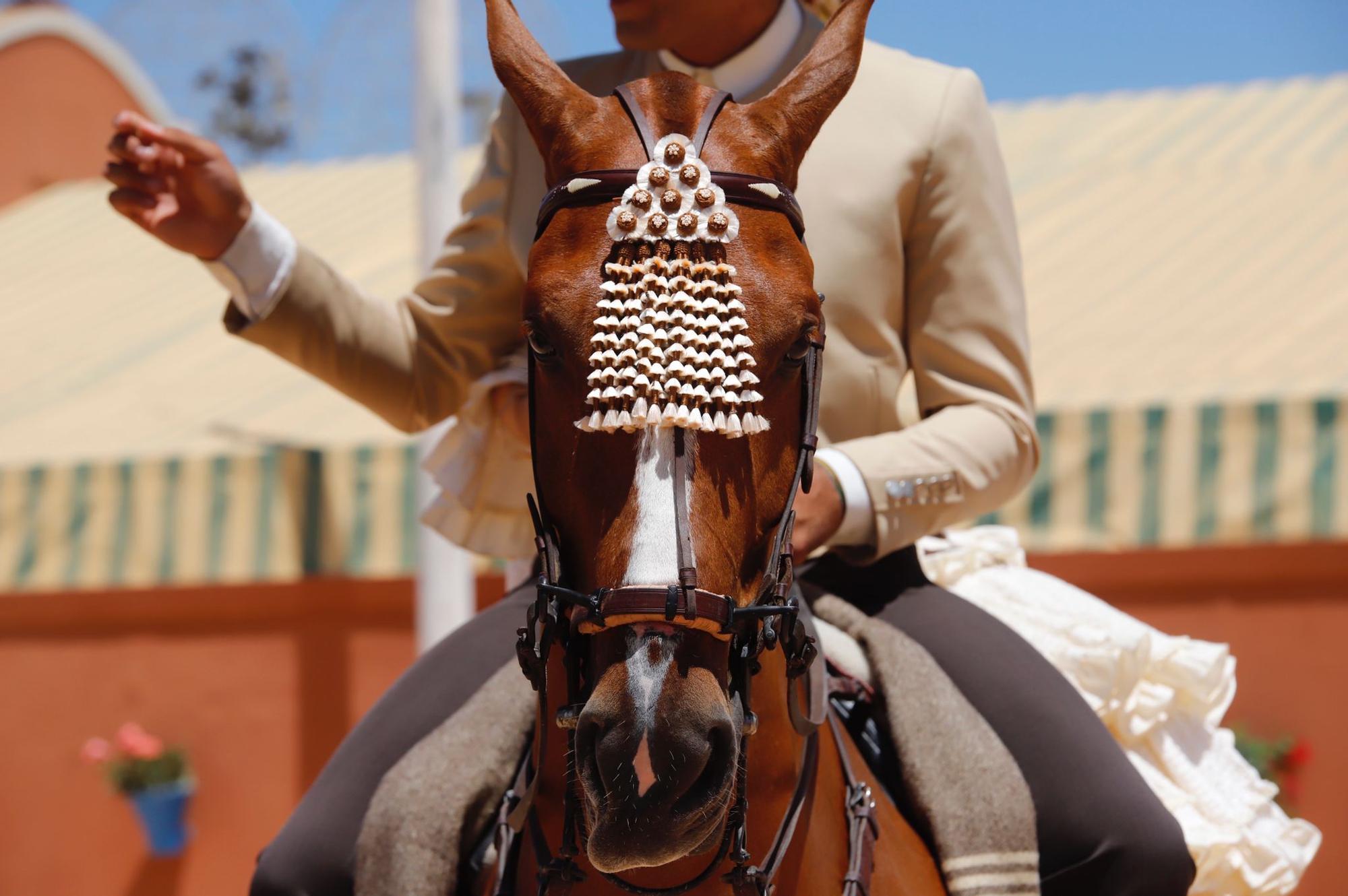 Uno de los ejemplares de caballo que ayer se lucieron en El Arenal.