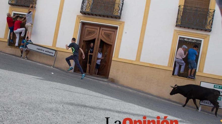 Quinto encierro Fiestas de Moratalla