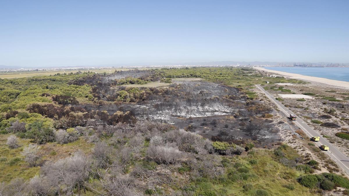 La superficie de Devesa arrasada por el fuego