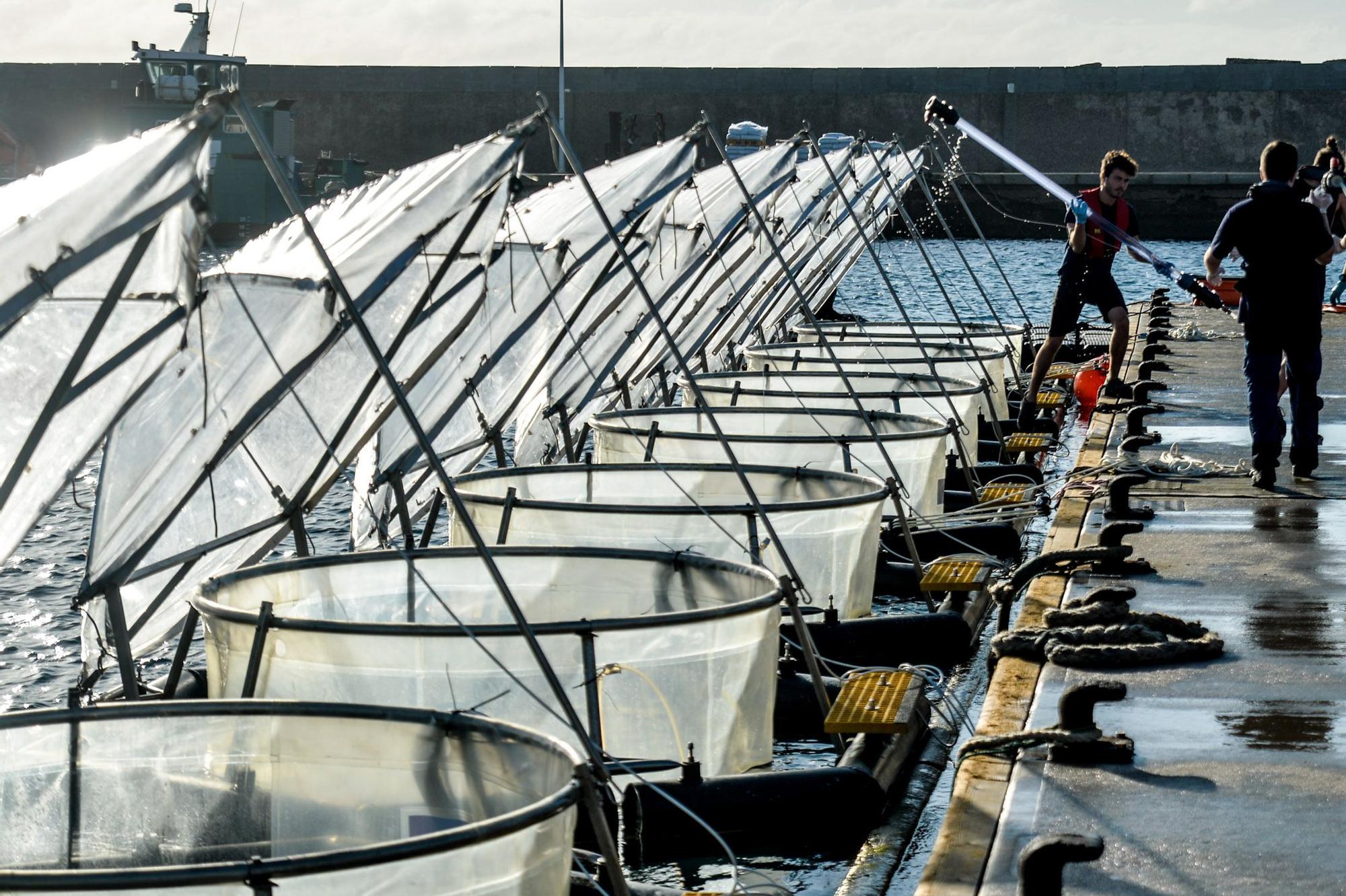 Experimento en el mar para averiguar como eliminar dióxido de carbono