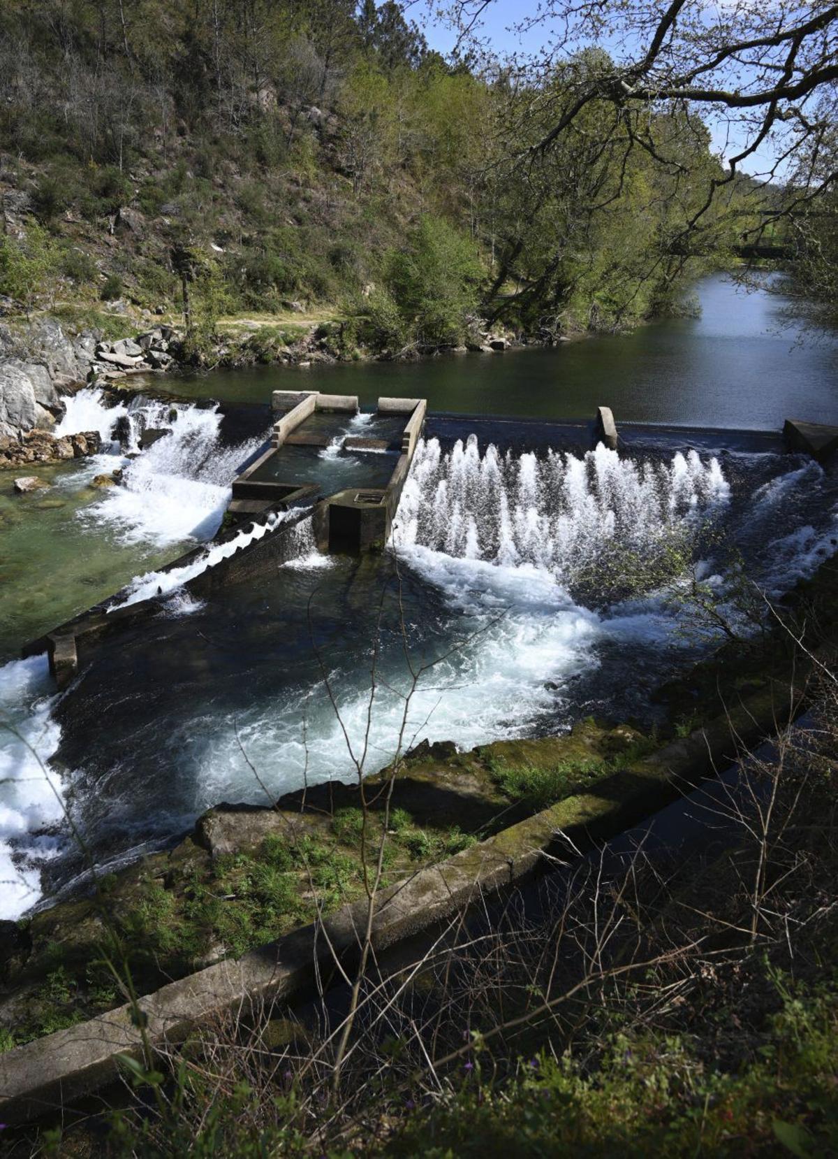 El río Lérez a la altura de la presa de Monte Porreiro.