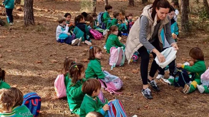 Actividad desarrollada por el colegio FESD. | LEVANTE-EMV