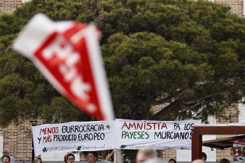 Visita de Pedro Sánchez en Los Alcázares