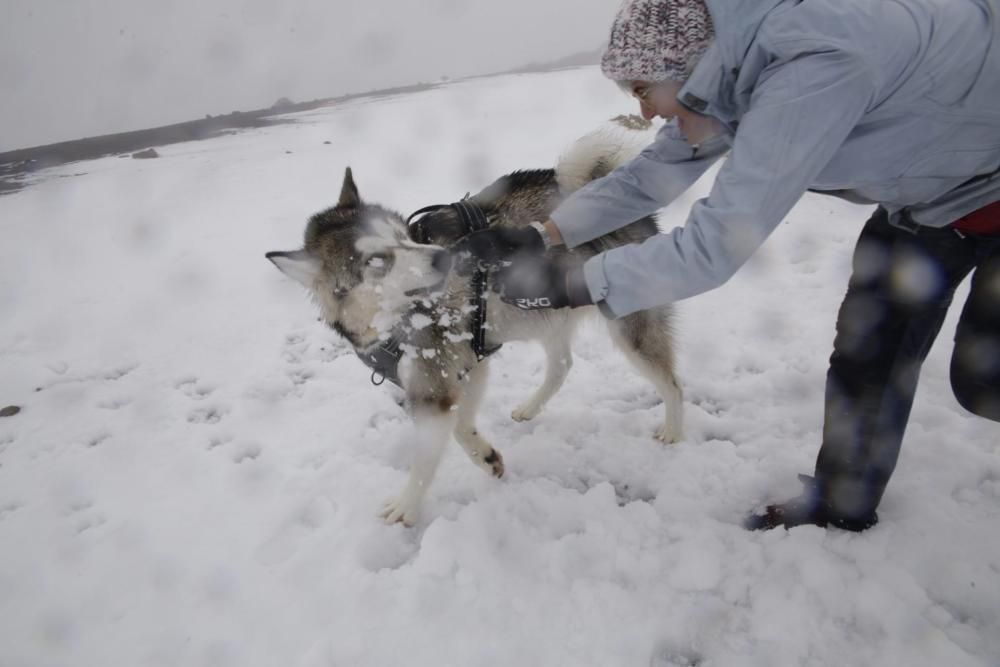 Miles de personas disfrutaron e inmortalizaron la nevada en el Teide