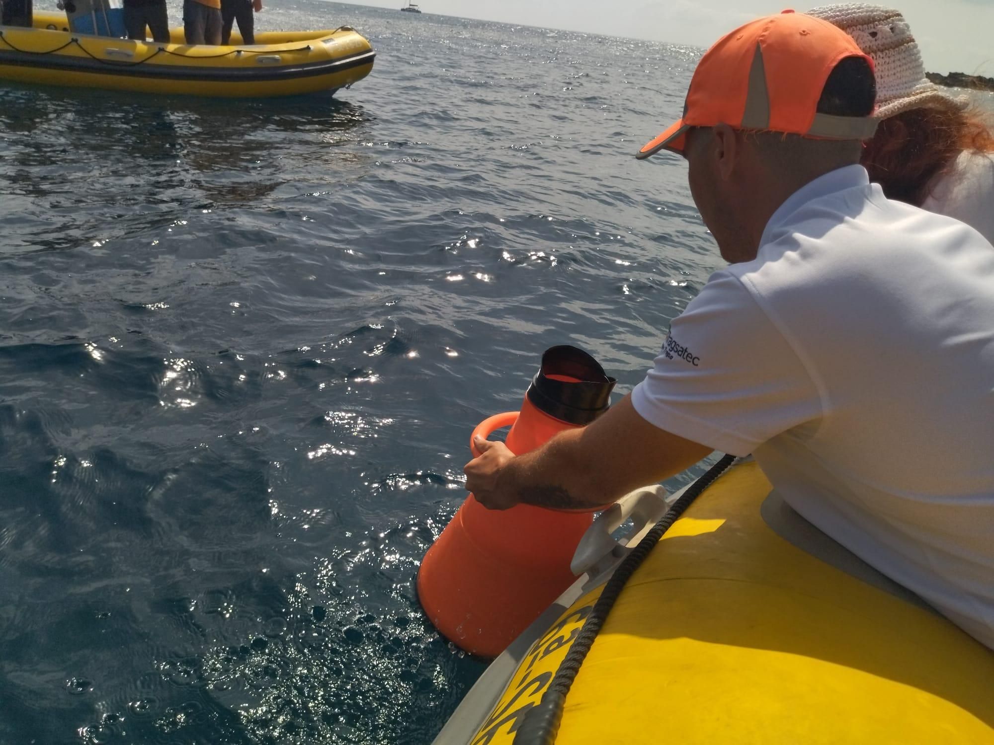 Embarcados con los guardianes de la Posidonia oceánica (imágenes)