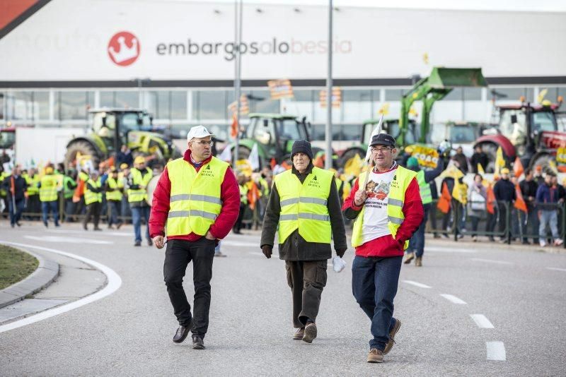 Manifestación de agricultores en Zaragoza