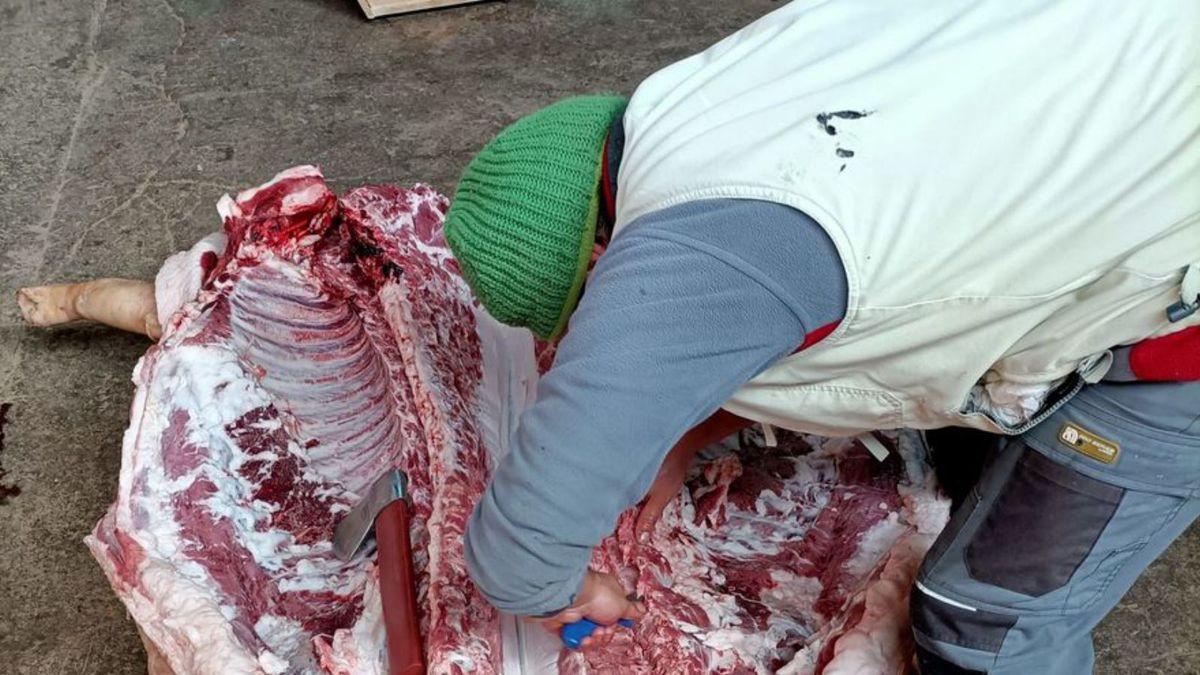 Matanza del cerdo en un pueblo de Zamora en una imagen de archivo.