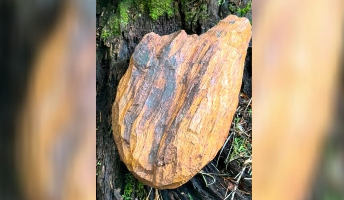 El corazón de madera perteneciente a la asociación escocesa Strathleven Artizans tiene un gran valor simbólico por su vículo con las historia del rey Robert de Bruce.