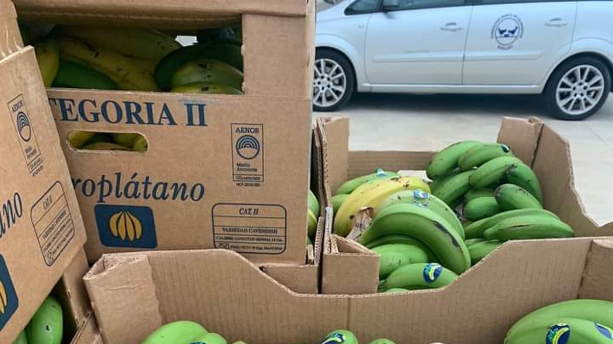 Los plátanos procedentes de La Palma, en Badajoz.